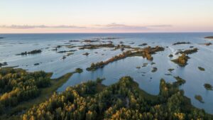 Memory Training Courses in Finland